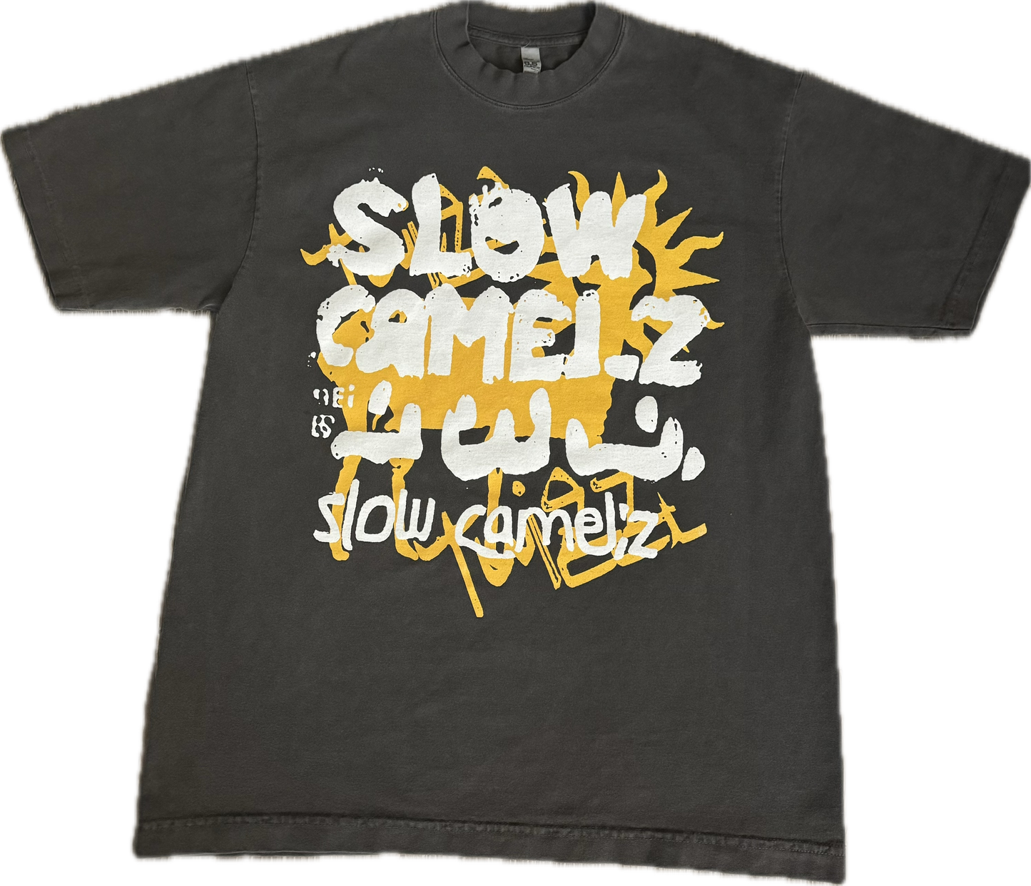 Slowcamelz 2025 Tee