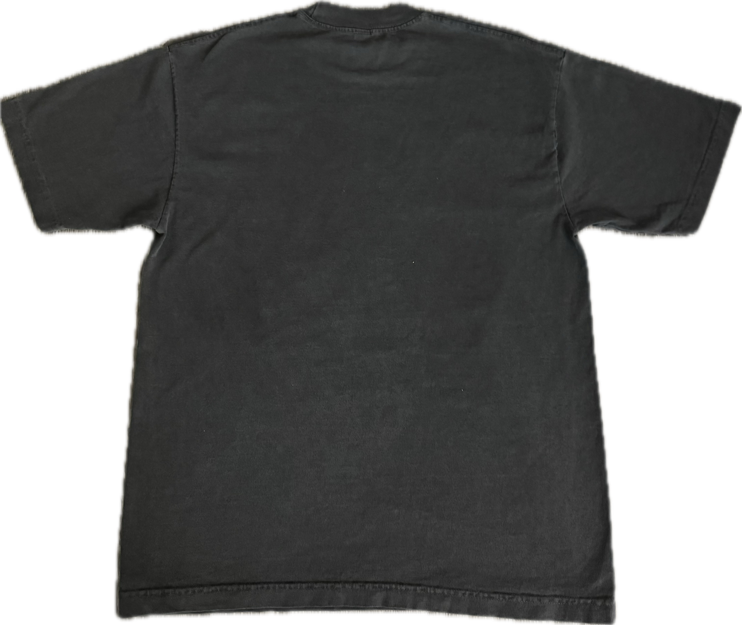 Slowcamelz 2025 Tee